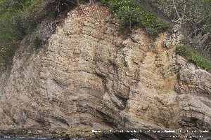 4. IMG_3137, P.S.Elena.jpg